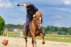 Championnat Départemental Pony Games